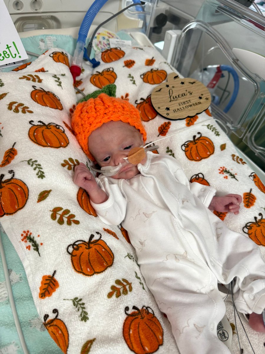 CTM Neonatal Services at POWH and PCH tweet media