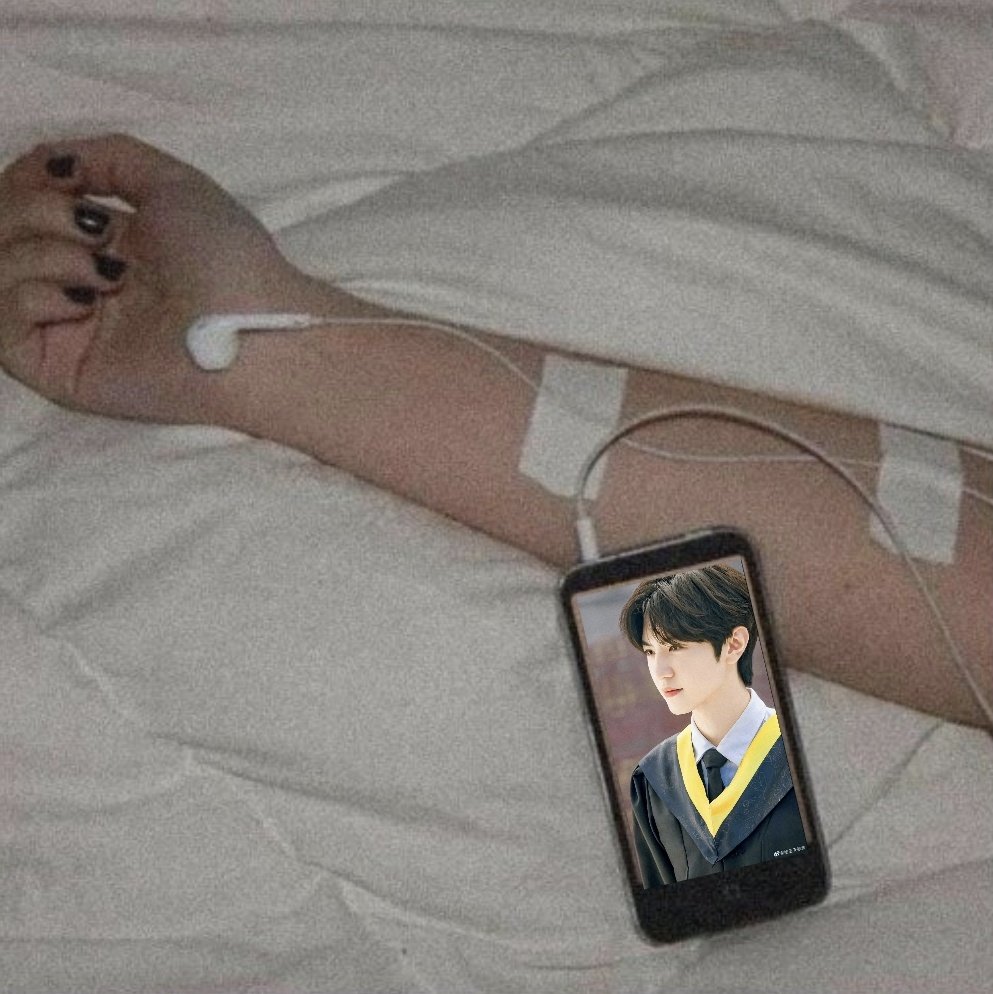 완안 tweet media