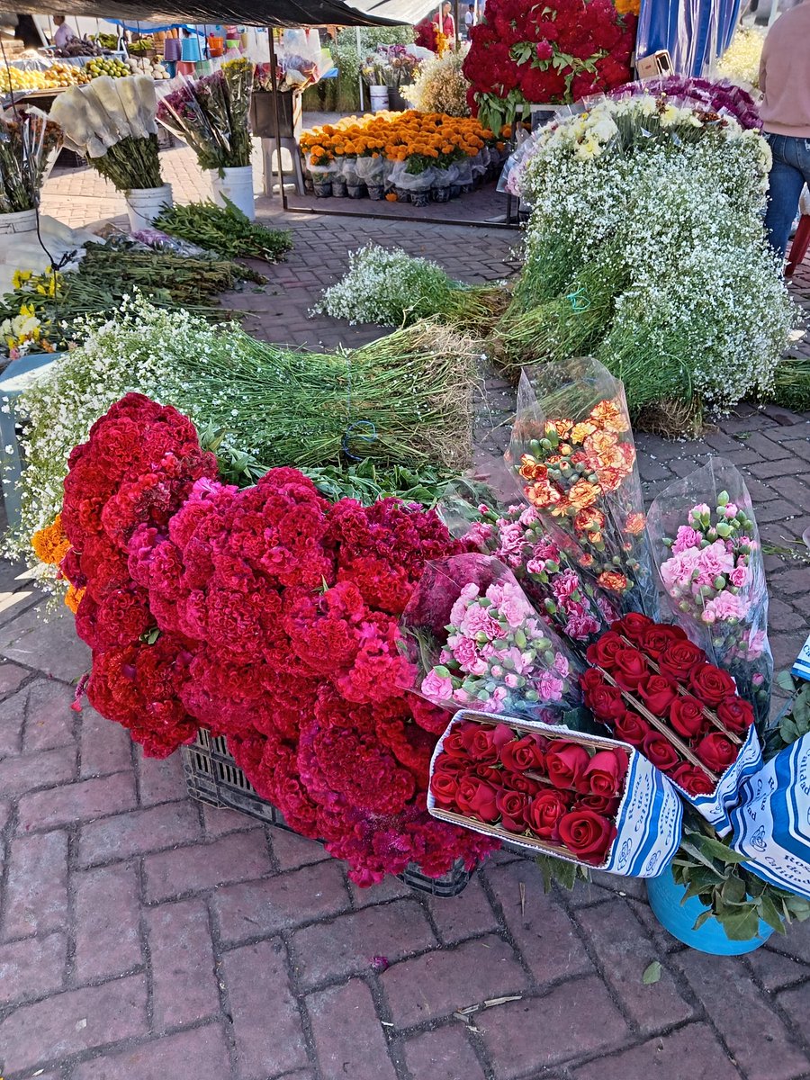 SethAlvarezG's tweet image. #Temascaltepec #EdoMéx #DiaDeMuertos Recordemos a las personas que por siempre vivirán en nuestros corazones.