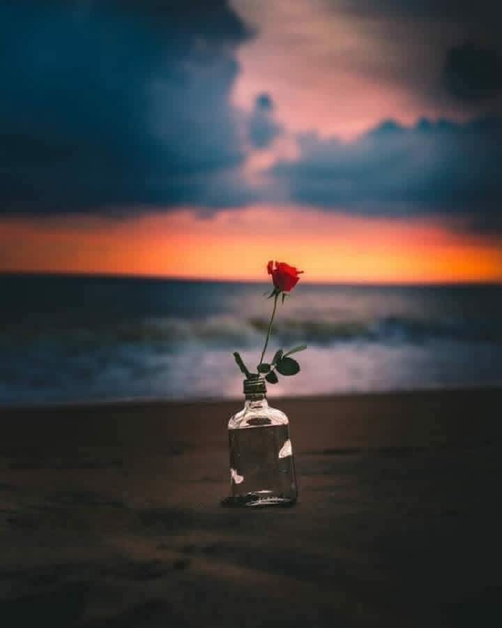 كُلّ الأشياء الحقيّقة في هذه الحياة تحدُث لمرّة واحدة فقط، الموت، الميلاد، الحب.. لا شيء يحدث مرّتين غير الوهم..
#Ammar_shamais 
#عمار_شميس
<a href="/A_SH996/">القائد عمار شميس</a>