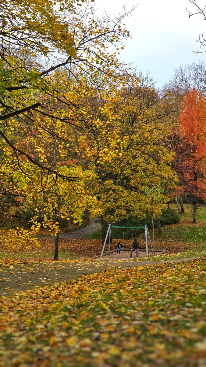 YusufBasPhoto's tweet photo. Mahallemdeki parkta sonbahar...
Automne dans le parc de mon quartier 

#automne #automn #sonbahar https://t.co/XCQDFXjoZi