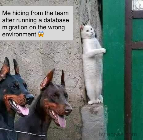 Bytebase's tweet image. One moment you’re confident. 😎
The next -- you’re hiding from your team, hoping rollback works. 🙈