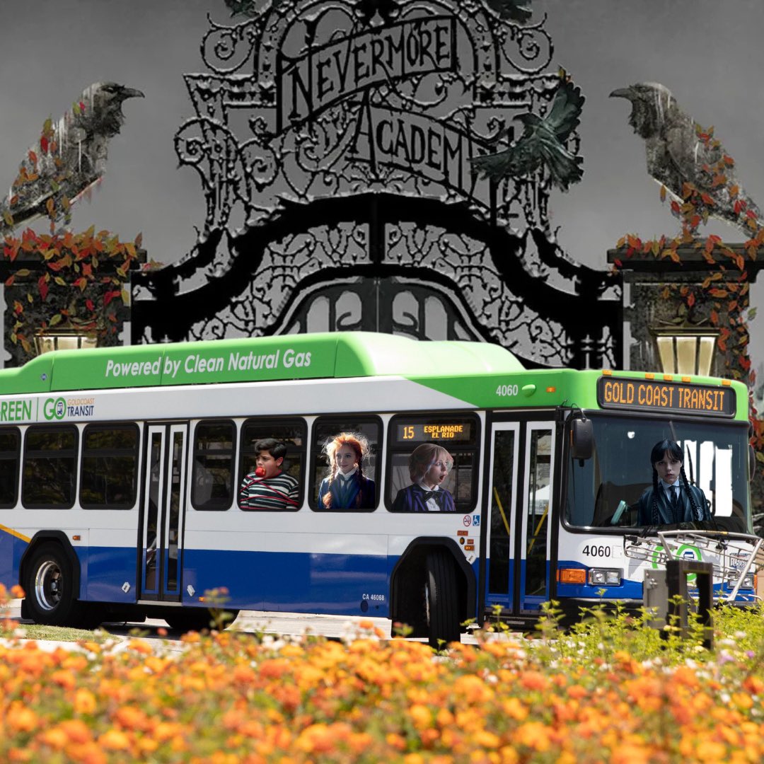 Gold Coast Transit District tweet media