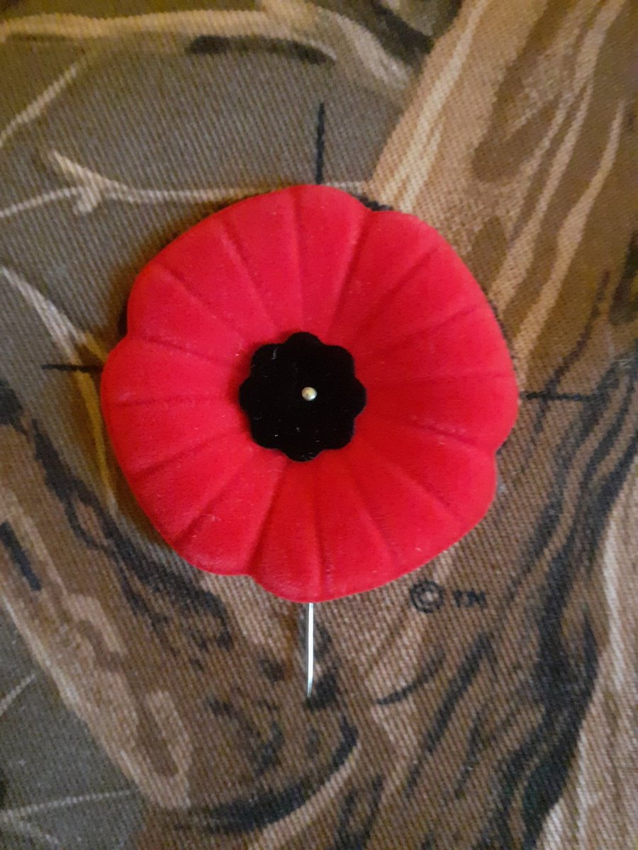 Remembrance Day 🍁