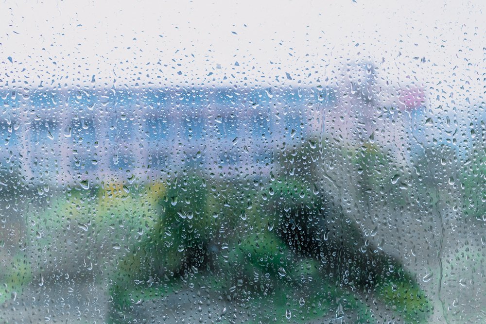 sysbird's tweet image. ひとあし早く大阪にきて雨のスナップを楽しみました 明日は晴れそう！？Photo テーブルでお待ちしてます スマホやカメラをお持ちくださいね〜 
#wckansai2025 #WordCamp