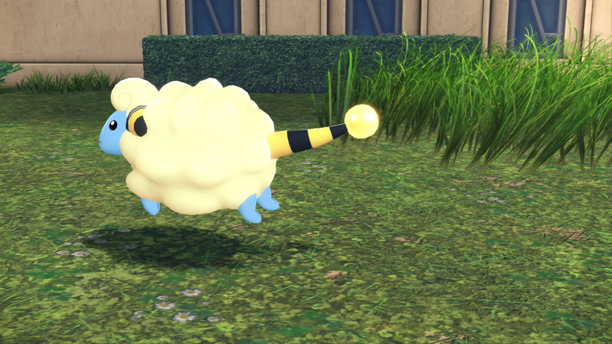 내가 진짜 힘들게 찍은
'힘차게  뛰는 메리프' 사진