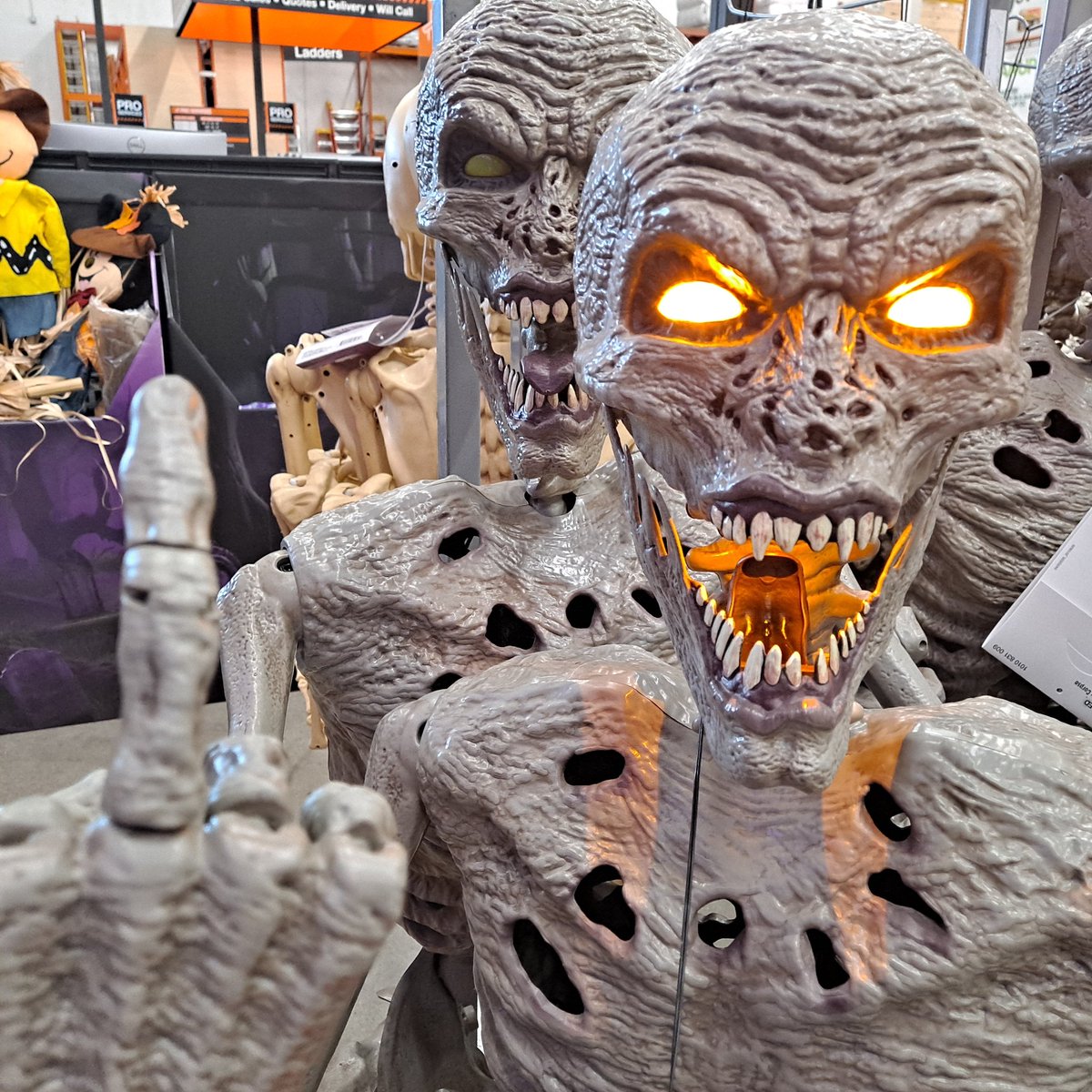 Happy Happy Halloween from some of my unique friends to some of yours! 🎃👻🎃👻