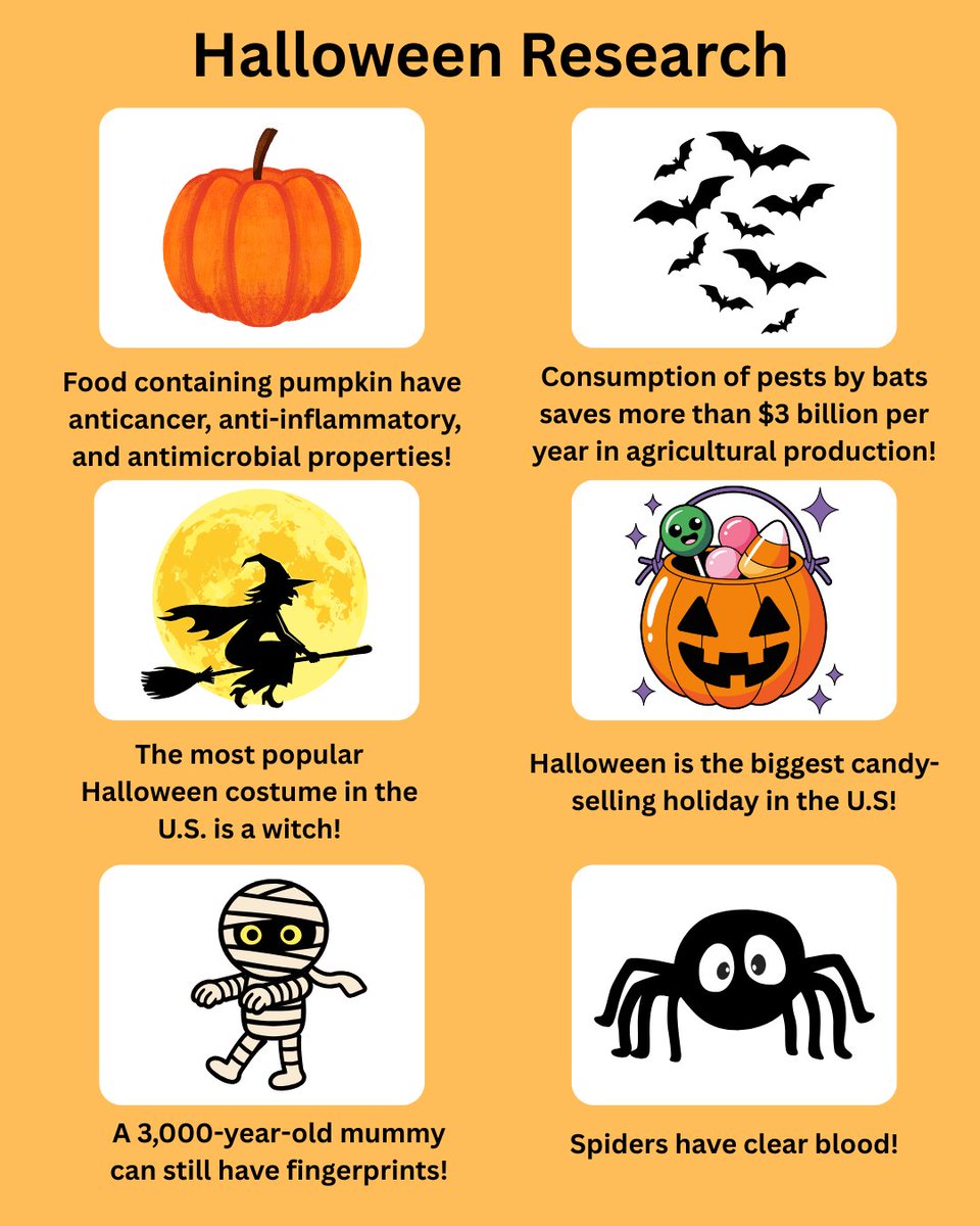 UR_at_MSU's tweet image. 🎃 From bats that boost agriculture to pumpkins with health powers — science makes Halloween even cooler! 🦇🧪👻
Explore some spooky research facts this season with Charlotte Ludorf!
#HalloweenResearch #MSUResearch #SpookyScience #FunFacts #STEM #SpartansWill