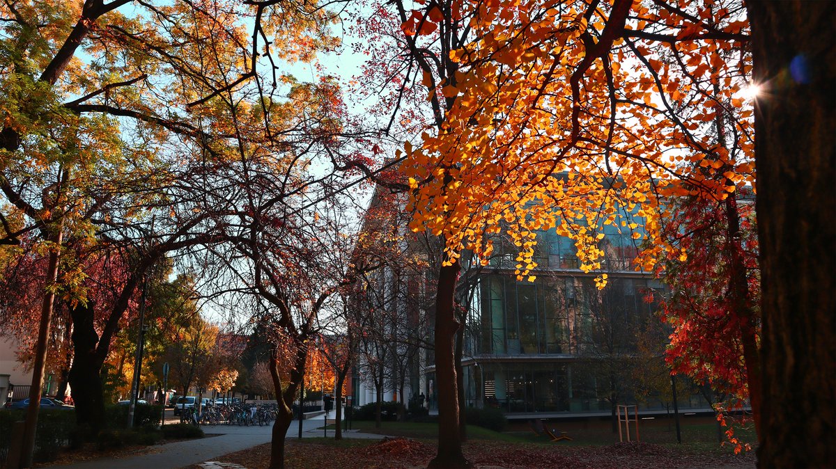 LibrarySzeged's tweet photo. 📅 On Saturday, November 1, All Saints’ Day, the library will be closed.🕯️
📖 On Monday, November 3 – since it’s the first Monday of the month, when we do our regular maintenance and tidying – we’ll be open from noon. 🕛
Thank you for your understanding. https://t.co/KqHhbnTb2T