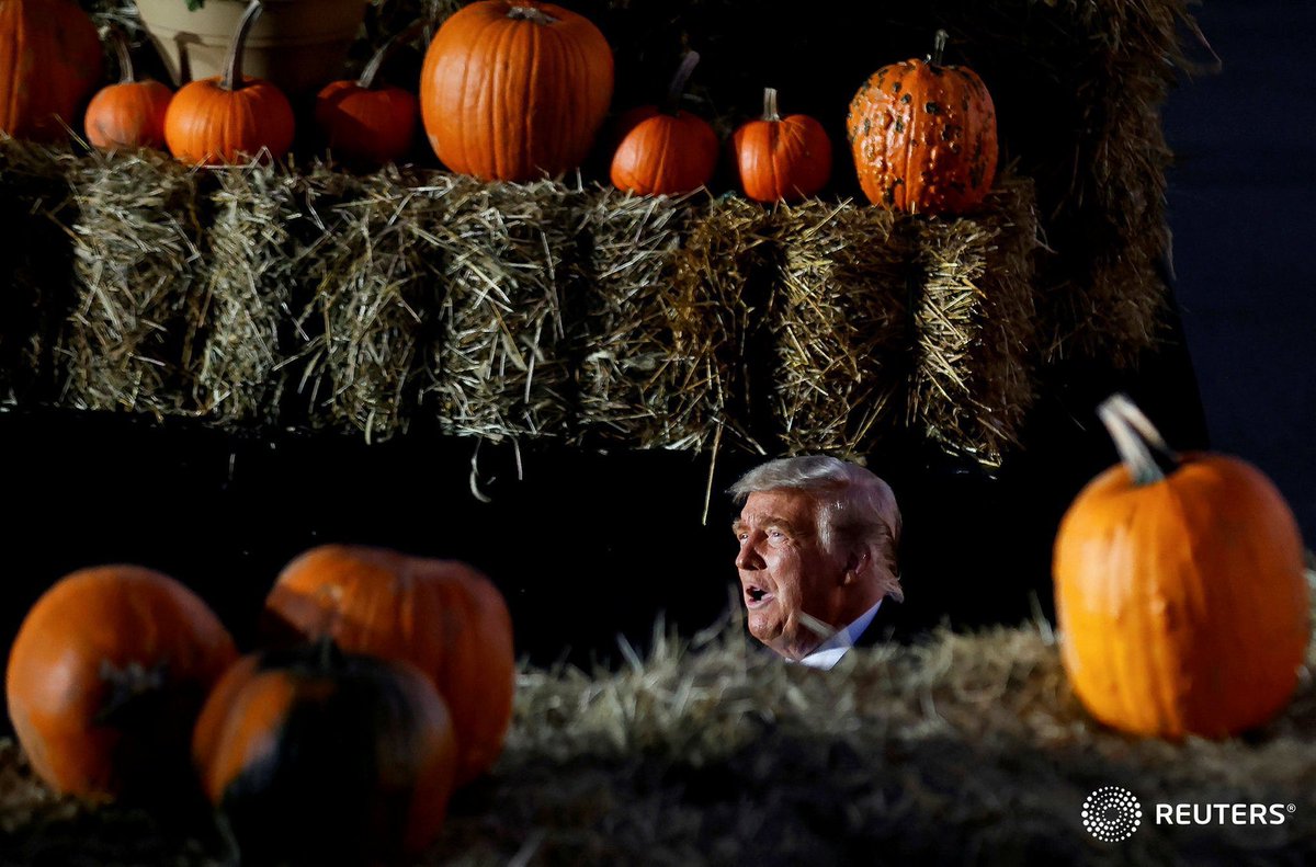 CSUDonald's tweet image. HAPPY HALLOWEEN TO RAM FANS ONLY