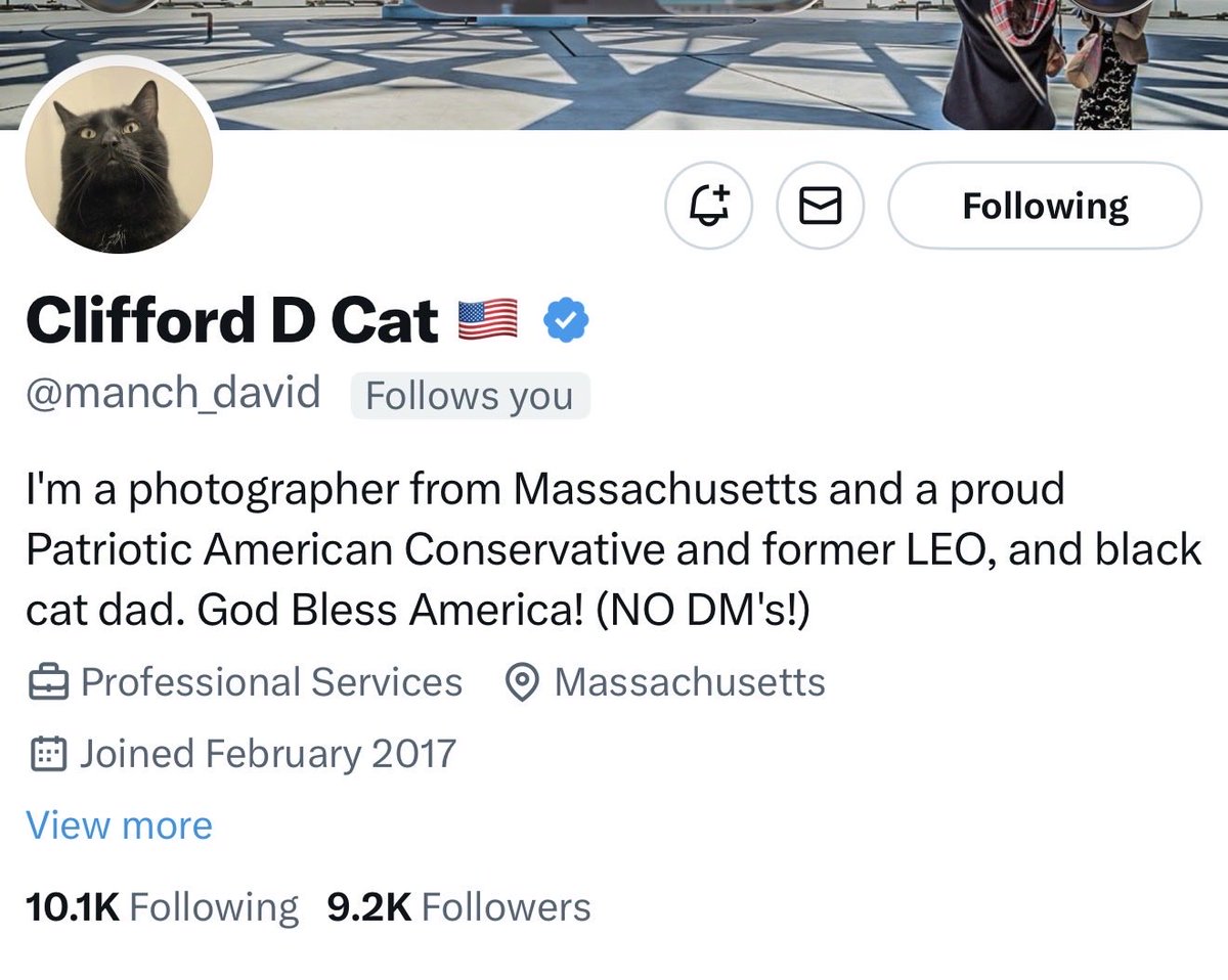 Let’s give this great patriot a boost and more friends. 

<a href="/manch_david/">Clifford D Cat 🇺🇲</a> 

He  will connect back.

HAPPY HALLOWEEN 🎃