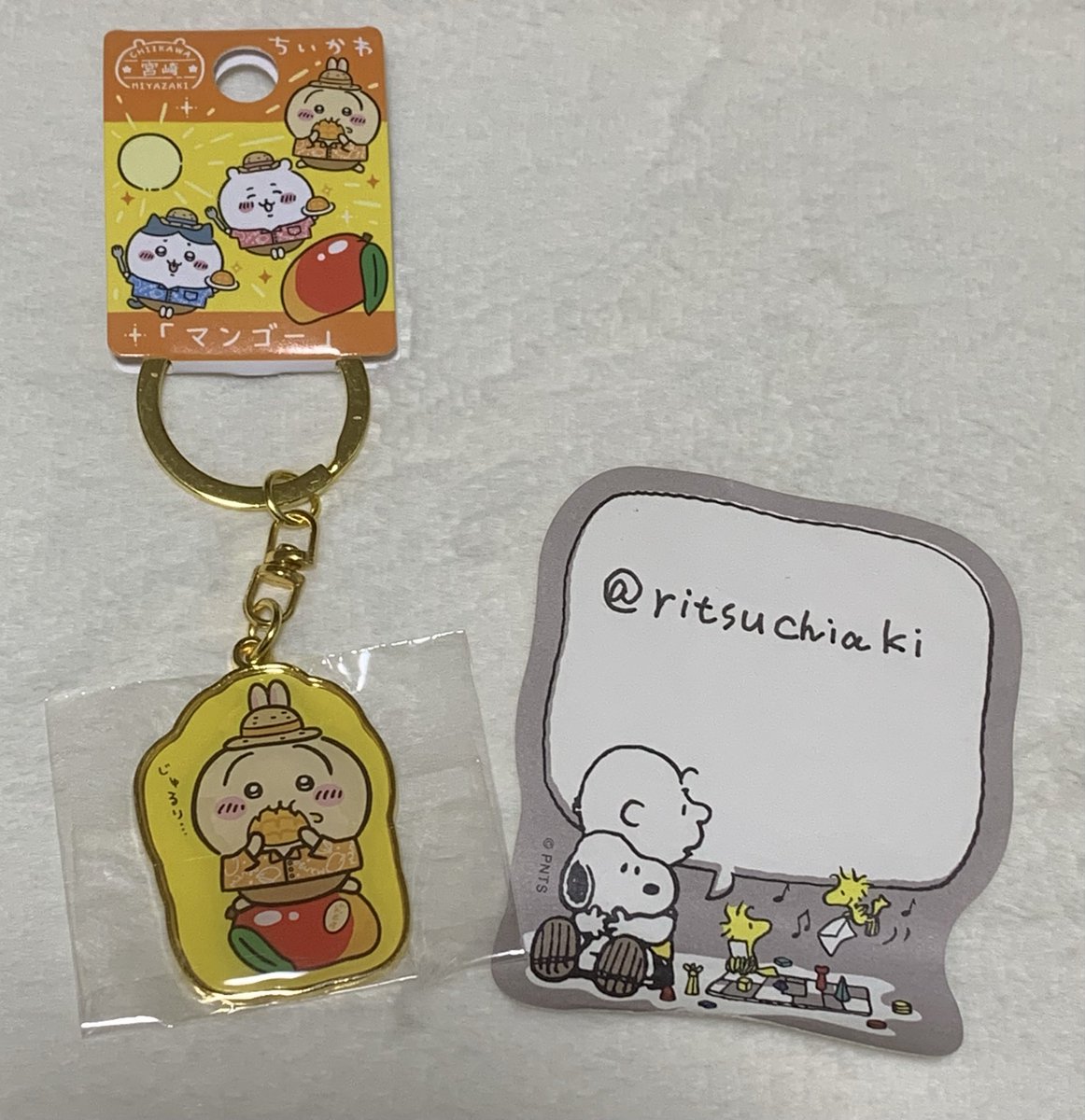 そんな@( ◜ω◝ ) (@rache221b) / Posts / X