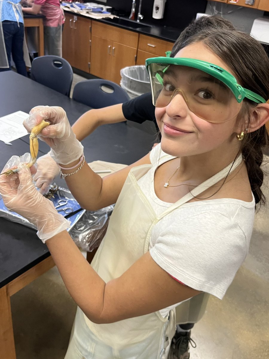 mattwmyers's tweet image. Frog Dissection Day in 7th Grade! Students explored the inner organs and digestive system of a frog during today’s lab. #ScienceLab #WeAreSouth @BoerneMSSouth