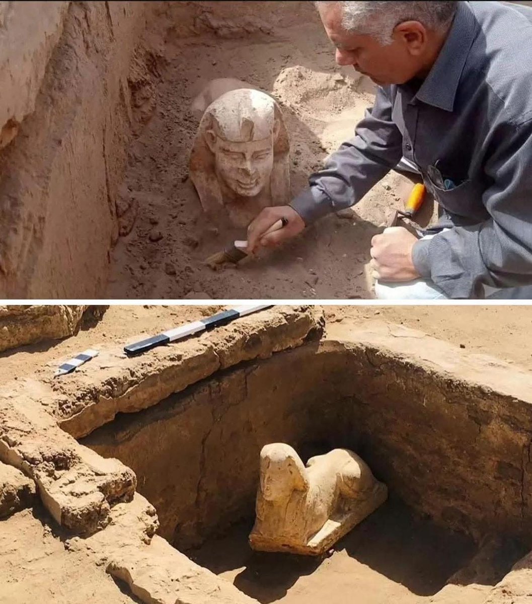 A new sphinx-like statue has been discovered in Egypt 🇪🇬 but this one is thought to be Roman...

In 2023, archaeologists have made exciting discoveries near the Hathor Temple in Egypt, one of the nation's most well-preserved ancient sites: a sphinx-like statue and the remains of