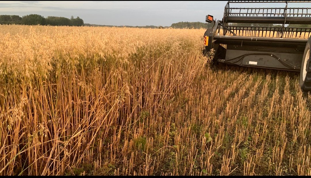 Peace Soil Works tweet media