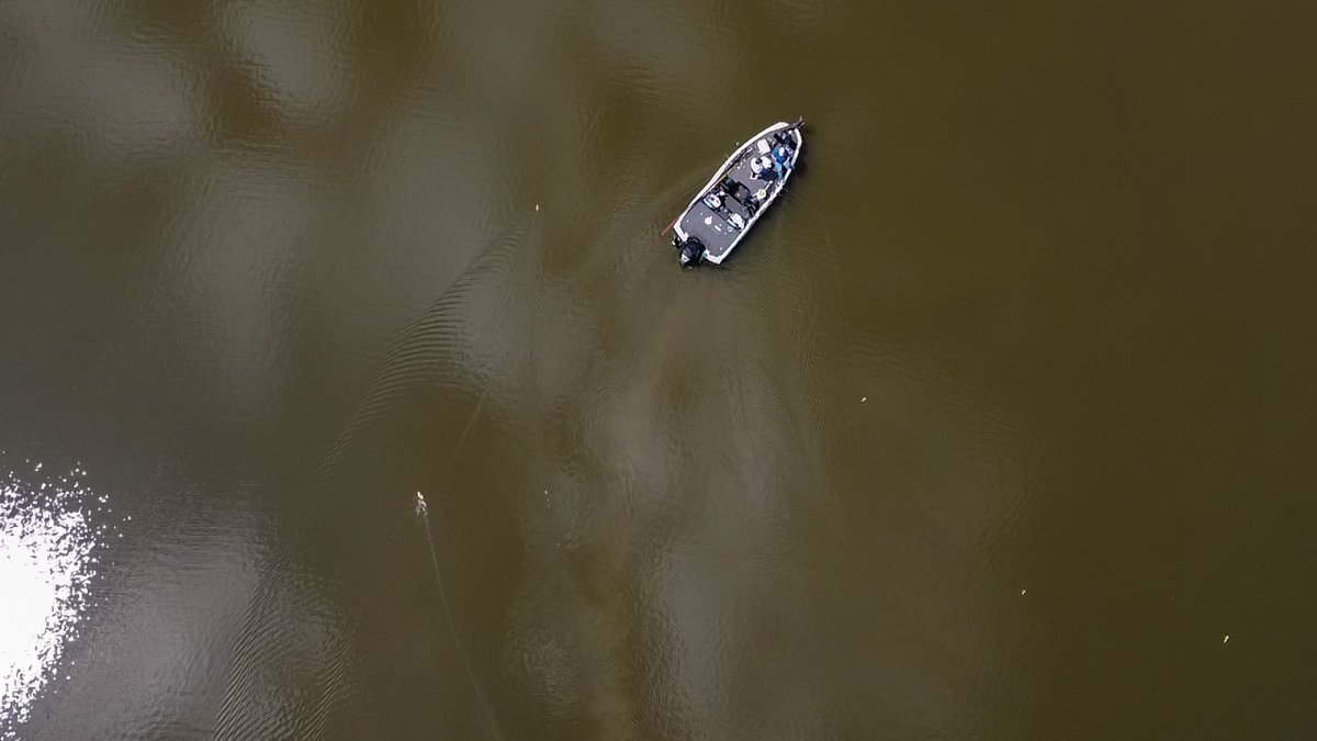 crappiemates's tweet image. Check out this bird’s-eye view of my Off Shore Tackle setup! Running 3 OR38s on one side and an OR38 + OR12 off the back from my iKon LX21.

offshoretackle.com
ikonboats.com

#iKonBoats #OffShoreTackle #CrappieDan #CrappieMates