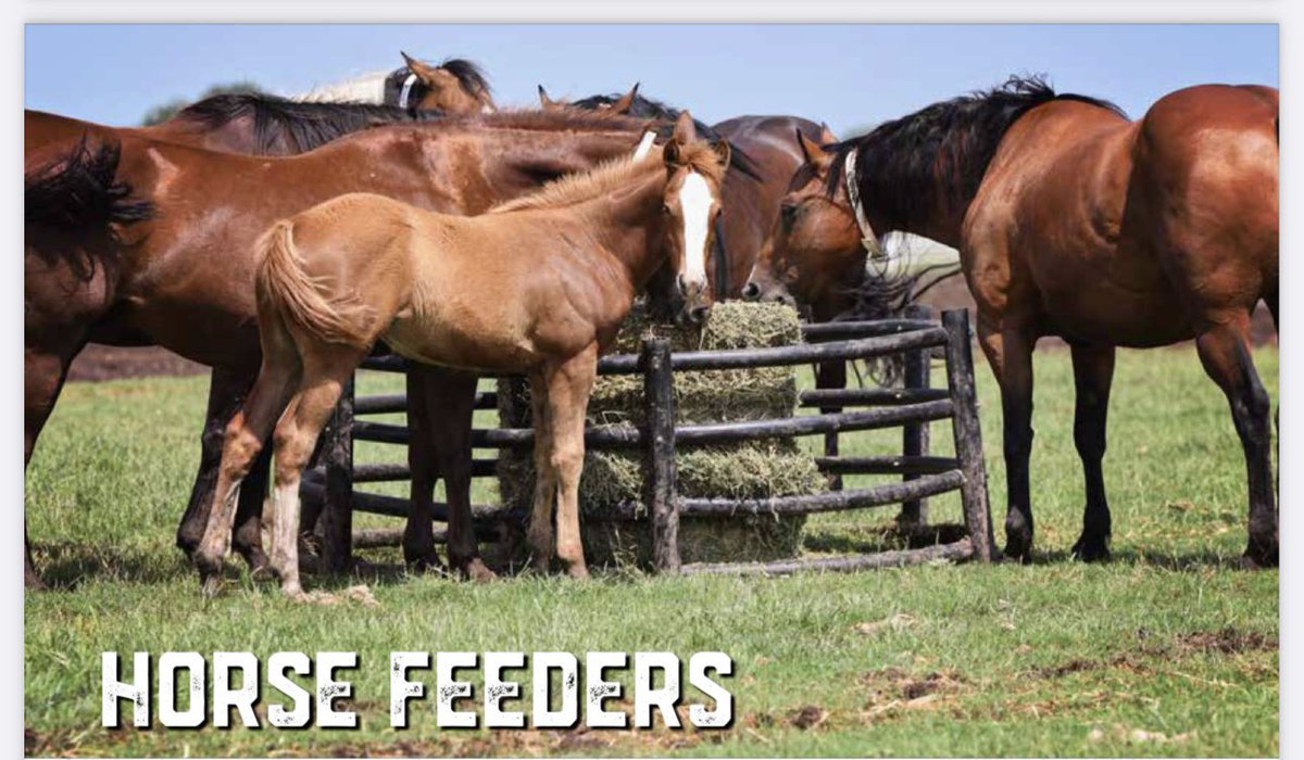 I have horse feeders too! $350 and ready for you. Located 46131.