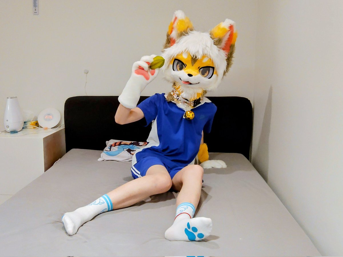 Starfruit🐺 tweet media