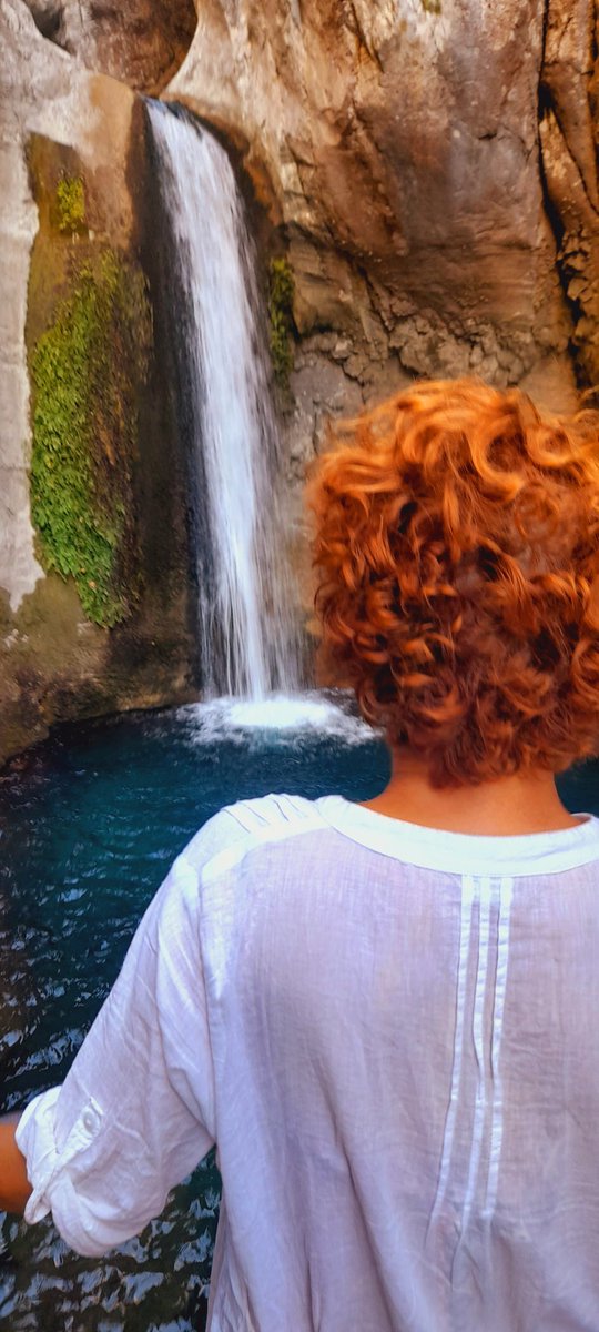 simurg🕊 (@simurg2626) on Twitter photo 