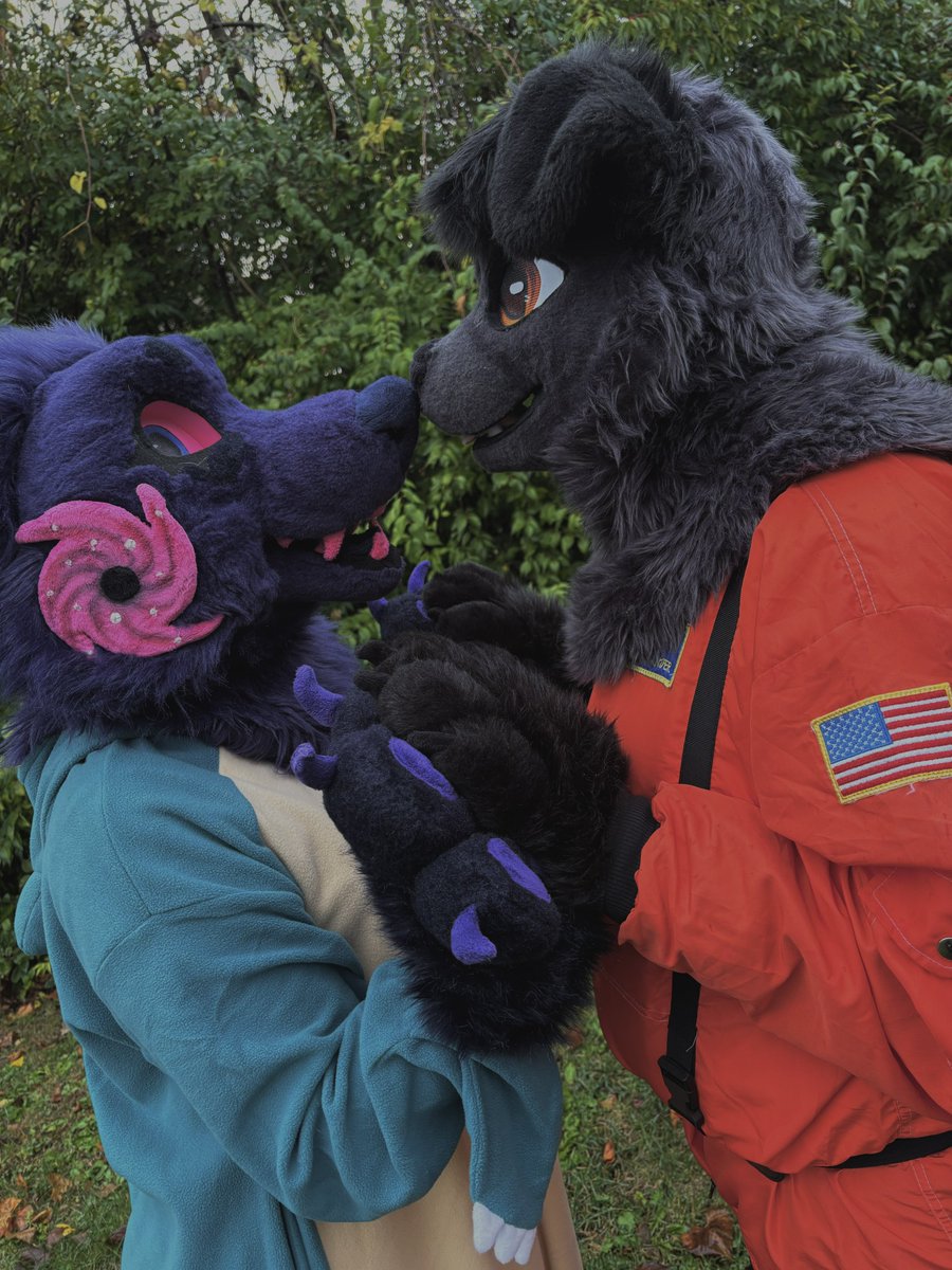 space dog found a good boy astronaut 🌠

#fursuitfriday