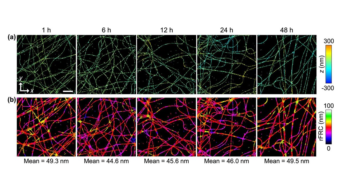 OpticaPubsGroup's tweet image. Via #OPG_BOEx: UV curable resin as a rapid and superior sealant for STORM bit.ly/4qtHQqZ #OpticalMicroscopy #UVResin @SeoulNatlUni