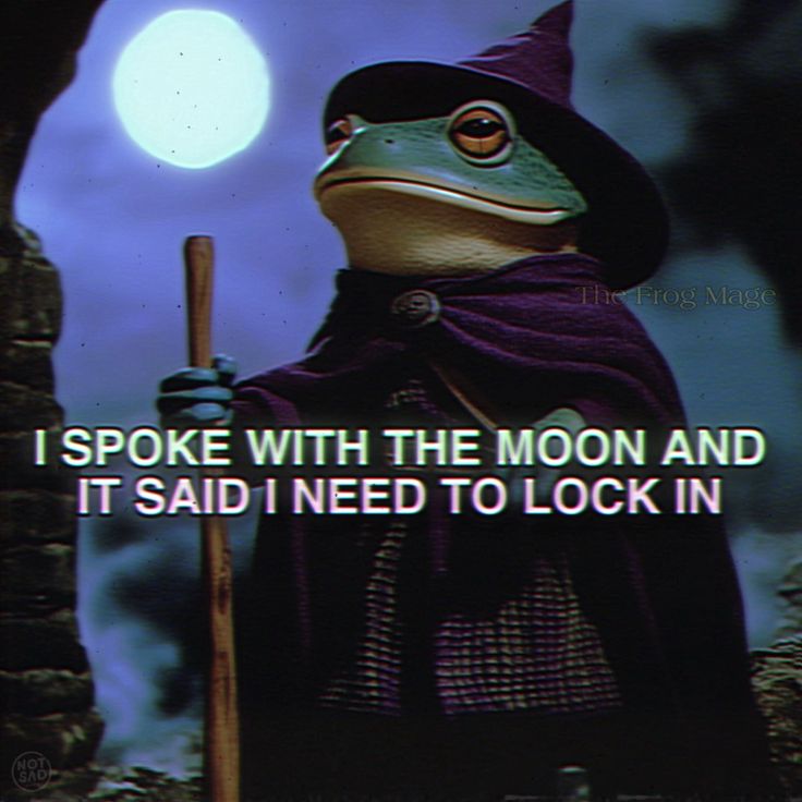 Zenm001's tweet image.