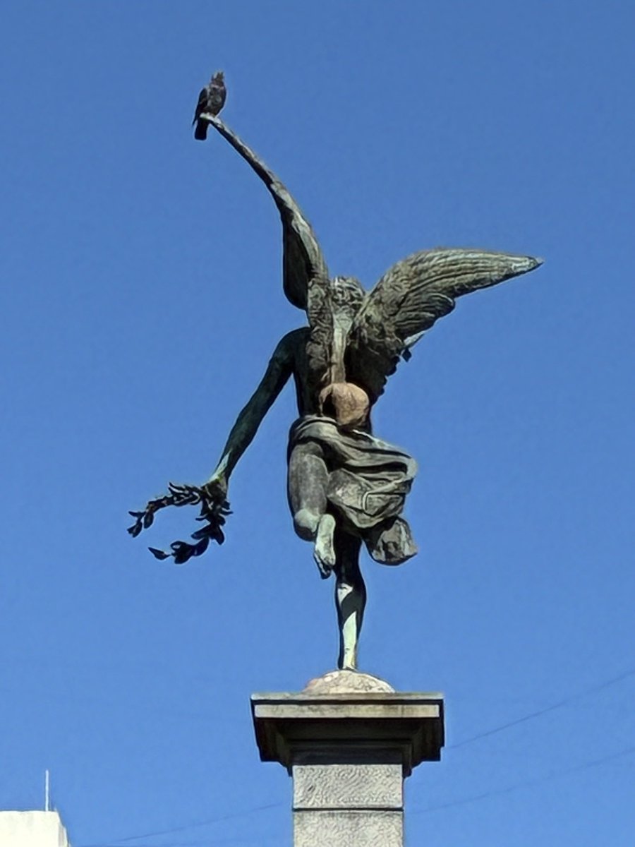 Federico G. M. Sosa Valle (@fgmsv) on Twitter photo 