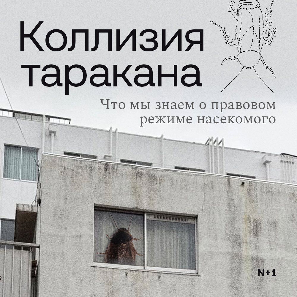 Пряня из N + 1 tweet media