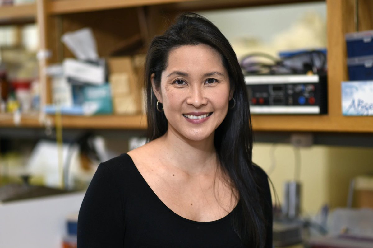 NeuralCell's tweet image. Dr. Jeannie Chin and team performed RNA-sequencing on the hippocampal dentate gyrus and identified differentially-expressed regulators of #neurogenesis in the Wnt signaling pathway that regulates many aspects of cell proliferation. 

👉 bit.ly/3LiegEE