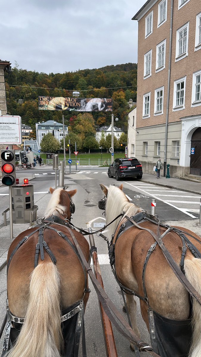 بإمكانك أن تقع في غرام مدينة لأنها جميلة، أو لأنها تذكّرك بمدينةٍ أخرى تحبها.. 

سالزبورغ النمساوية تُعيدك لزمن الطفولة وأفلام الكرتون وتسحر بأناقتها المُشابهة لعاصمة الحب "باريس " 🐎🏛️🦋🍃💫