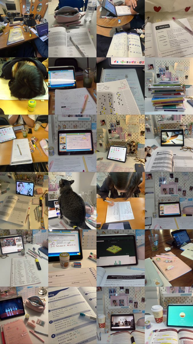 중국 tweet media