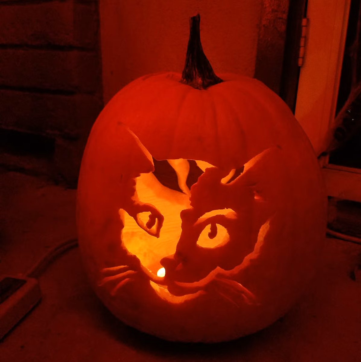 mkCoder's tweet image. - Славете ________________, не го славете Хелоуин!
- Шо сакам јас ќе славам.