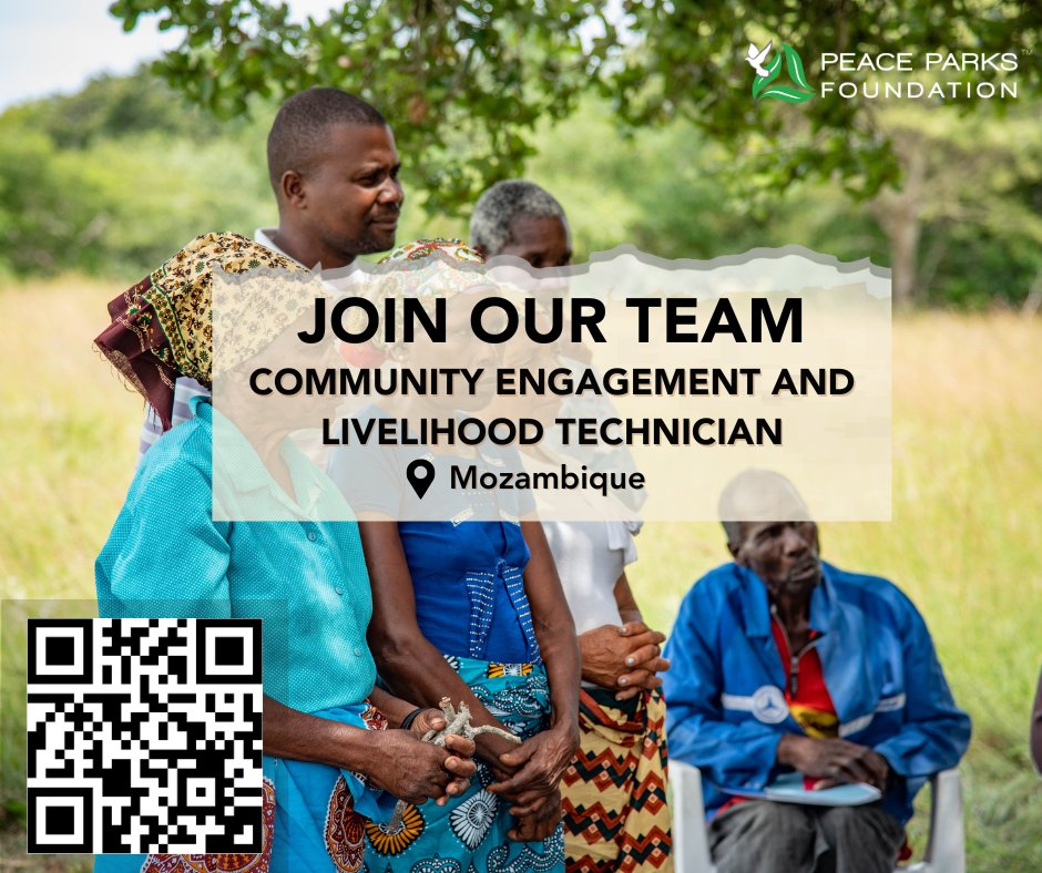 Peace_Parks's tweet photo. Peace Parks Foundation has exciting conservation career opportunities in Zimbabwe and Mozambique. Scan the QR code or visit https://t.co/RppUAY8x7D https://t.co/eifQu3qLOL