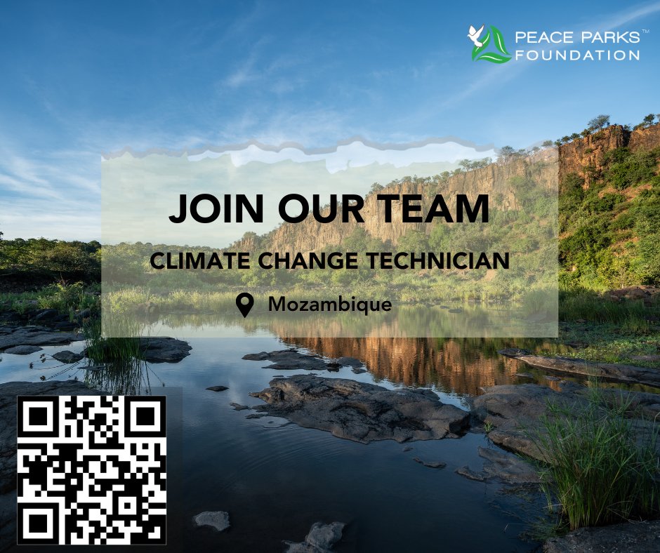 Peace_Parks's tweet photo. Peace Parks Foundation has exciting conservation career opportunities in Zimbabwe and Mozambique. Scan the QR code or visit https://t.co/RppUAY8x7D https://t.co/eifQu3qLOL