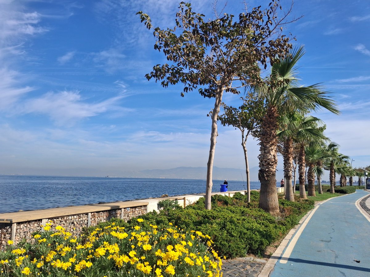 sunargvn's tweet photo. #izmir https://t.co/iNiQM76lK7