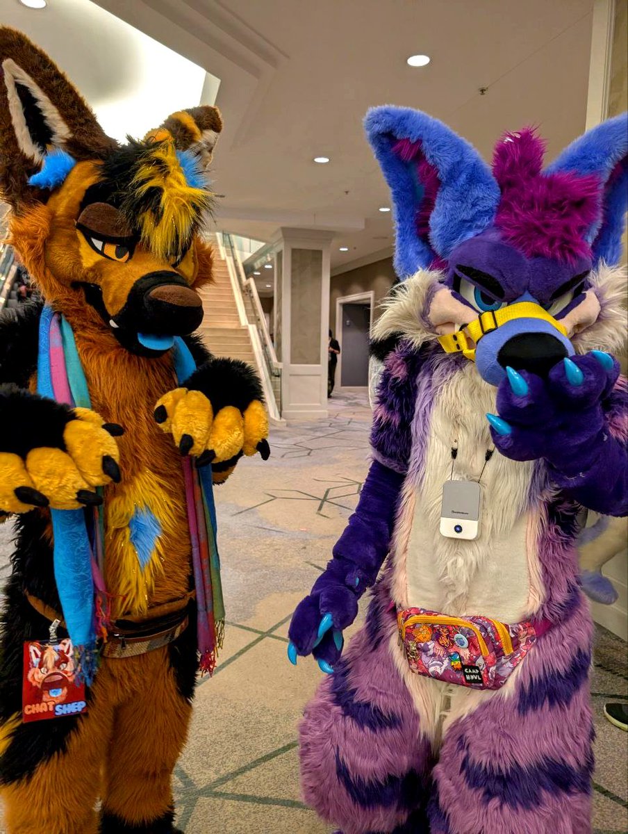 Haze thinks he's smelly
(I don't think he cares)
🐕:@chatshep
📸:<a href="/Pyrferno/">.exPYRe.. // 💜 _/ 🌄 / STRATOSFUR2026</a>