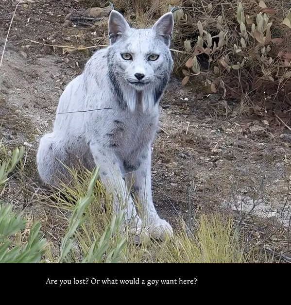 Woke Putin 📉 (@ripplebrain) on Twitter photo 