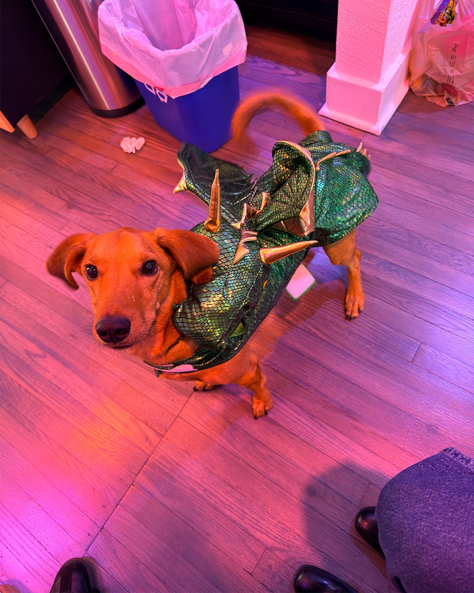 KafkaMediaGroup's tweet image. Happy Halloween for KMG!🎃