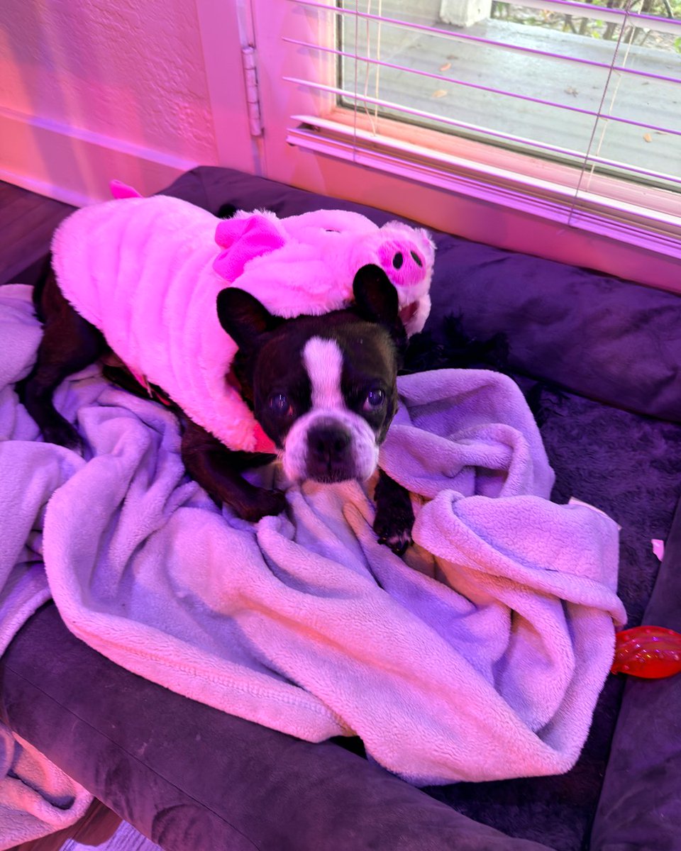 KafkaMediaGroup's tweet image. Happy Halloween for KMG!🎃