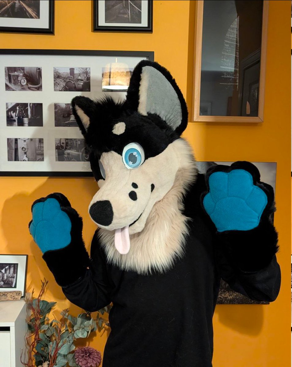 CassiusRed's tweet image. Happy Halloween! And Happy #FursuitFriday from Biscuit! Just finished up his head today, and he'll be a fullsuit very soon, just got his body left to make!