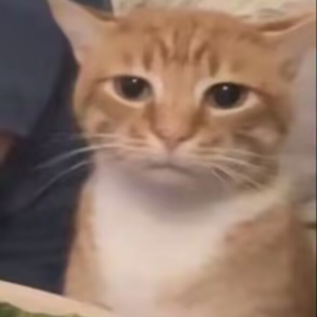 亿之矮个儿！kiminako！ tweet media