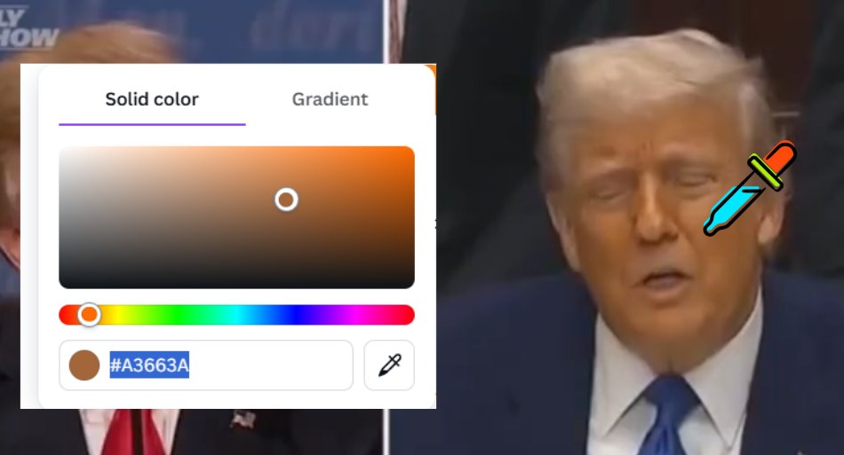 INA - Author of "Pussified" 2nd Edition tweet media