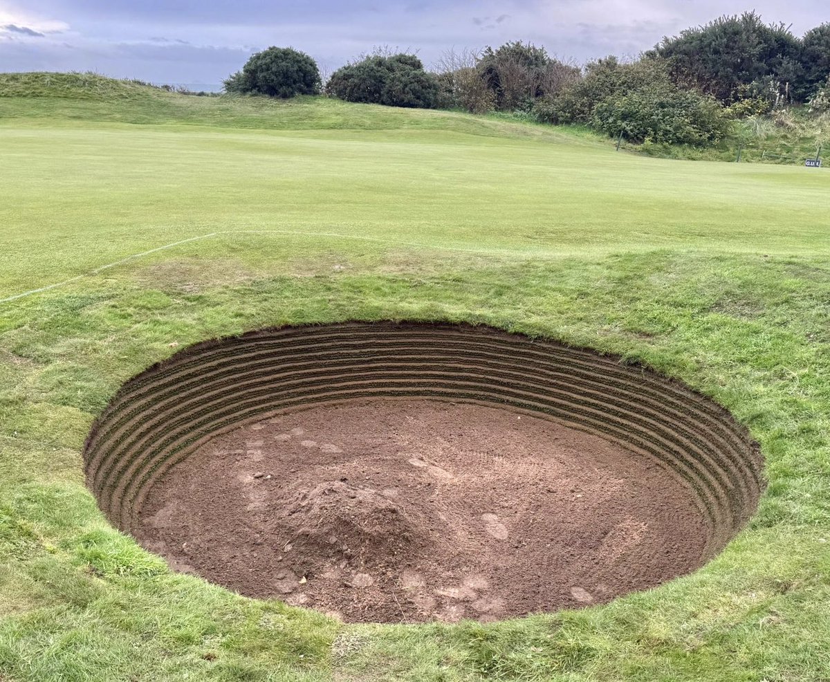 Gavin Neill tweet media