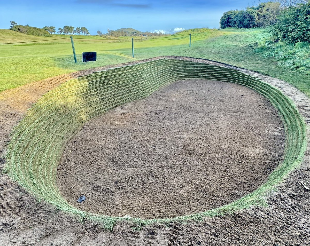 Gavin Neill tweet media