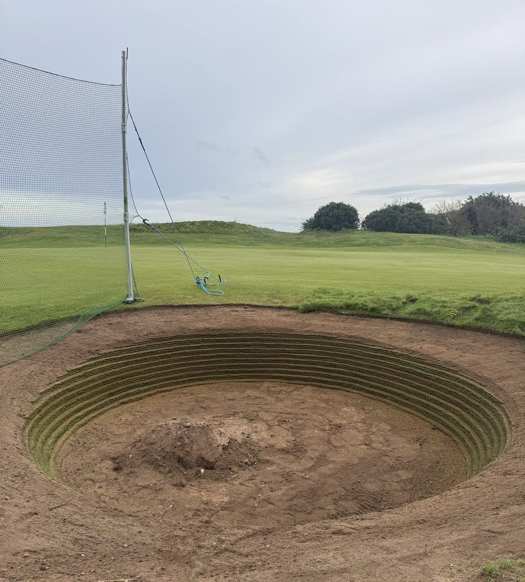 Gavin Neill tweet media