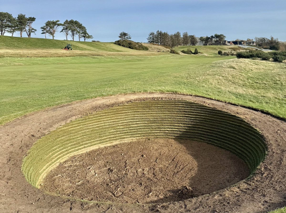 Gavin Neill tweet media