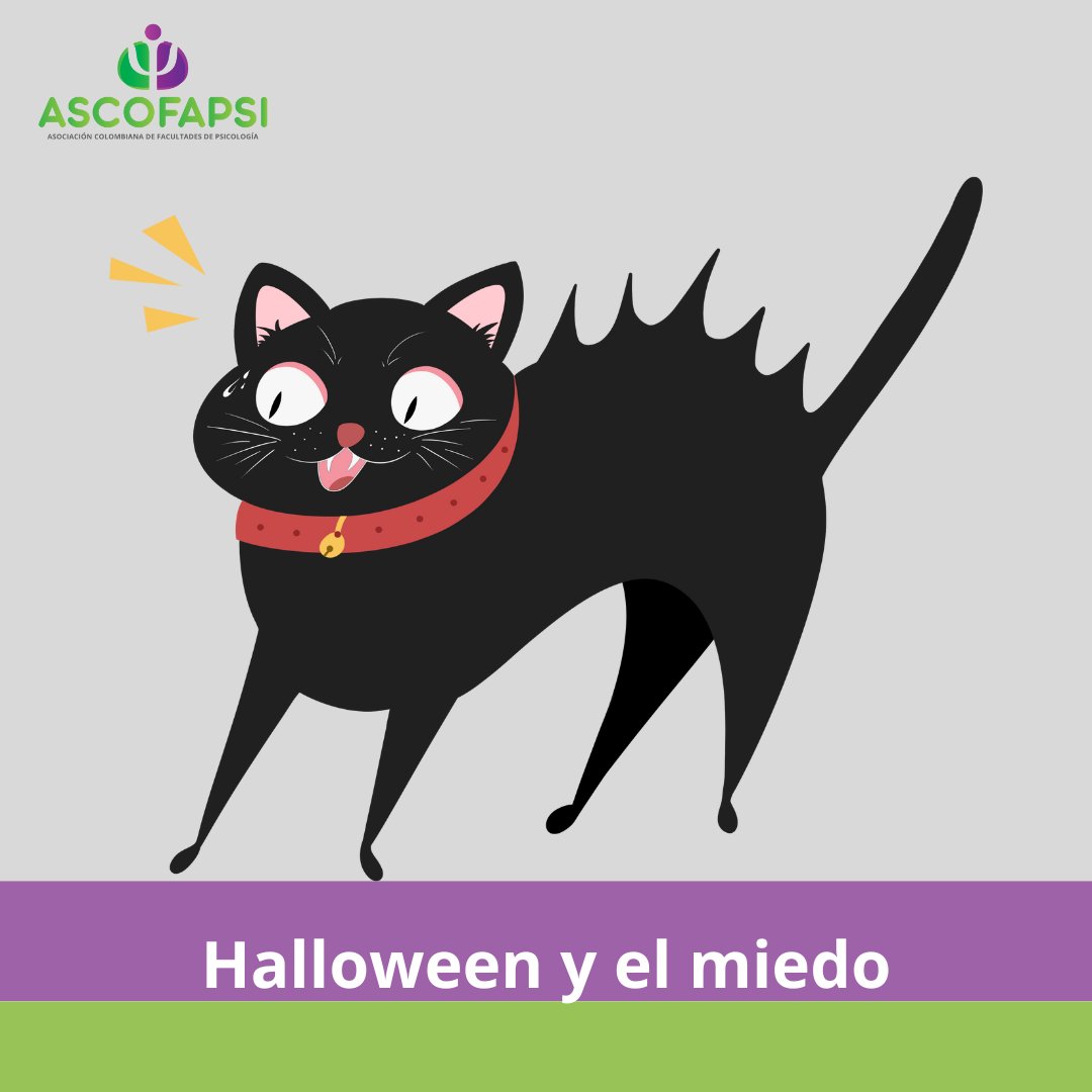 🎃 ¿Por qué nos gusta sentir miedo en Halloween? 👻
La Psicología tiene la respuesta: el miedo también puede unirnos y divertirnos.
Descúbrelo aquí 👉 rebrand.ly/1mqtr0f
#Halloween #Psicología #ASCOFAPSI #SaludMental