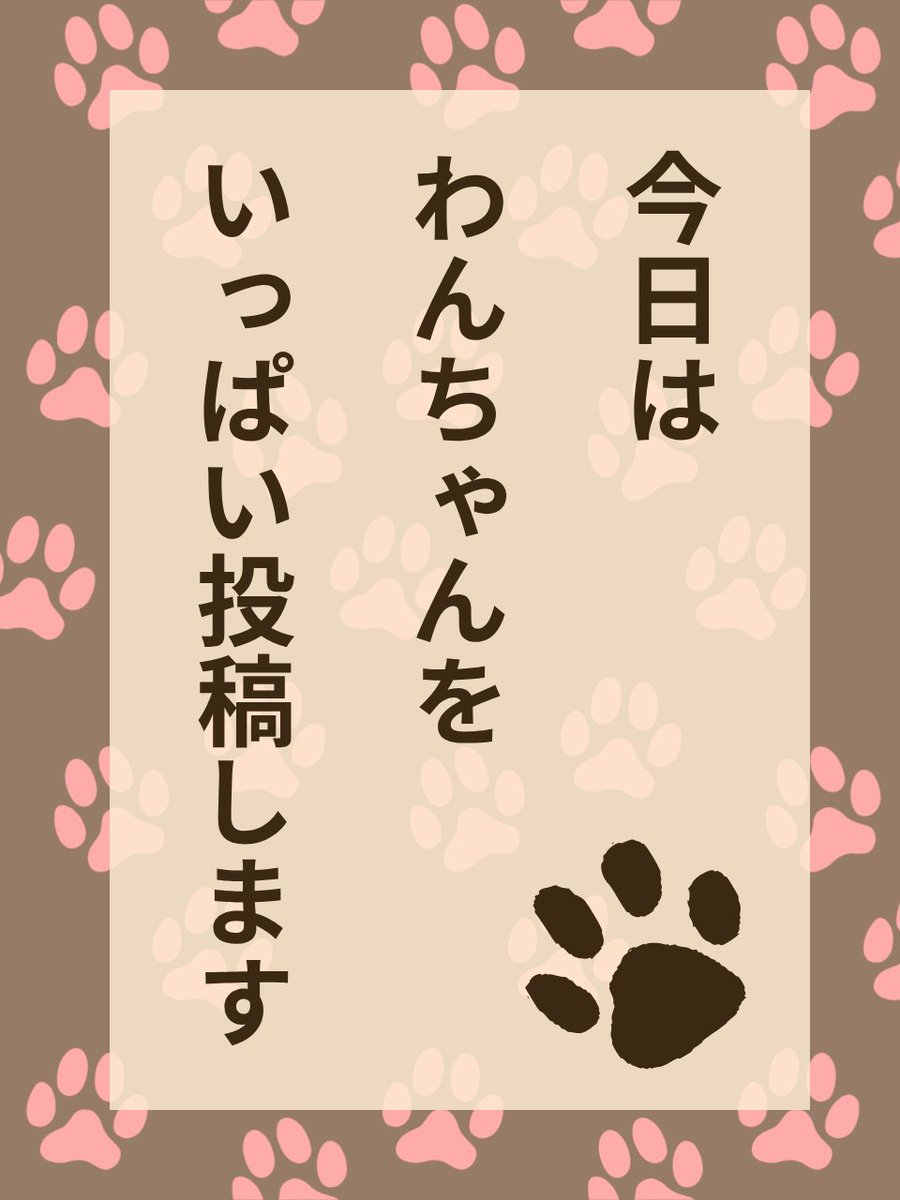 あき3こ🌼🌻🐝 (@koz_aki_mno11) / Posts / X