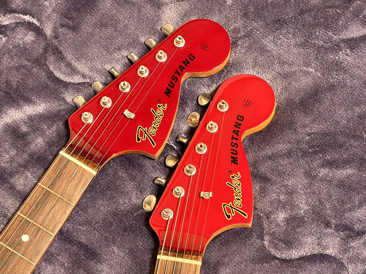 コッコはココ on X