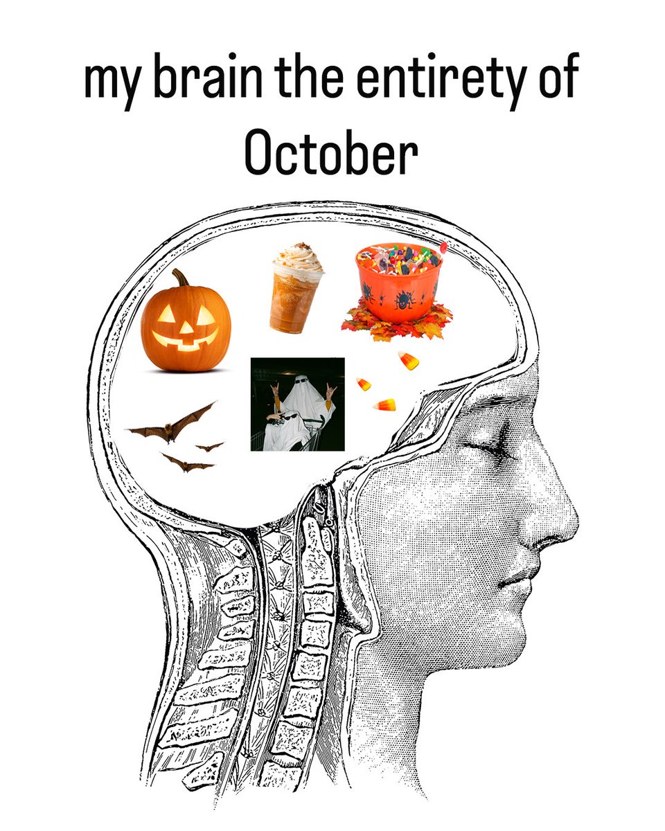 halloween is a state of mind 🙂‍↕️
